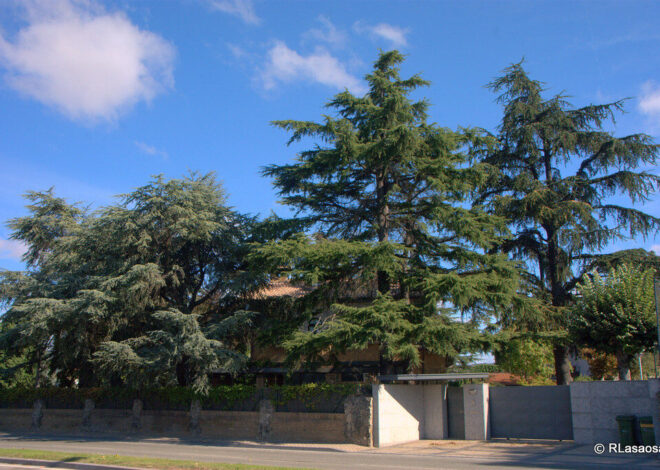 Public Outcry In Spain Over Housing Unaccompanied Minors In Luxury Chalets