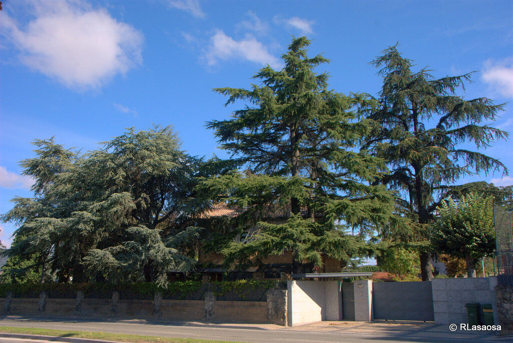 Public Outcry In Spain Over Housing Unaccompanied Minors In Luxury Chalets