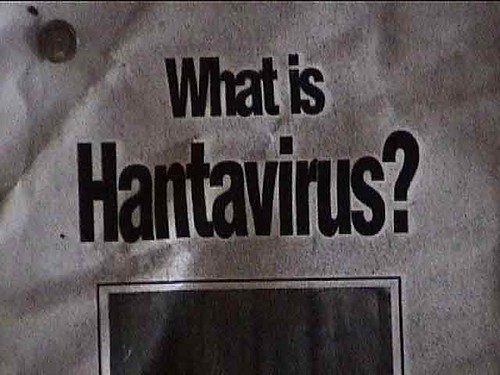 Two Women Hospitalized With Suspected Hantavirus In Barcelona And Alicante