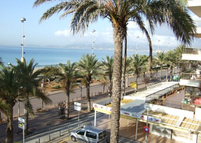 Three Arrested in Playa de Palma for Assault and Attempted Sexual Aggression