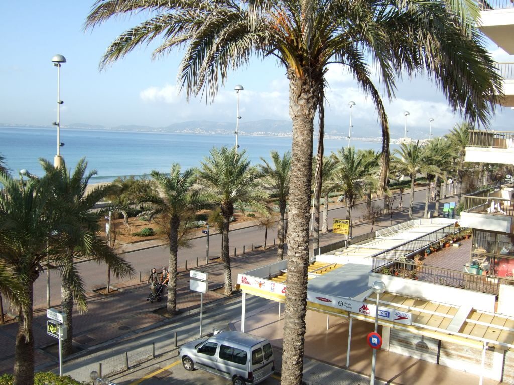 Three Arrested in Playa de Palma for Assault and Attempted Sexual Aggression