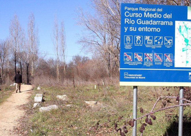 Madrid Civil Guard Dismantles Latin Kings-affiliated Group; Six Arrested, Mostly Minors