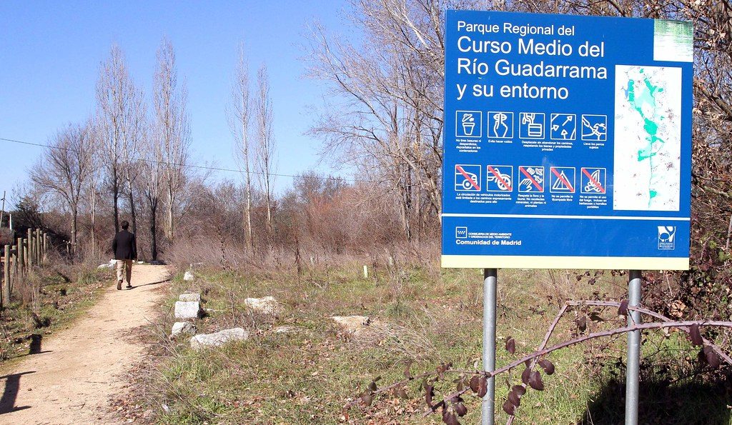 Madrid Civil Guard Dismantles Latin Kings-affiliated Group; Six Arrested, Mostly Minors