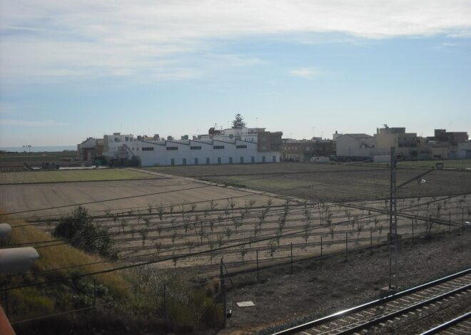 Teens with Machete, Bat Foiled in Valencia School Massacre Plot