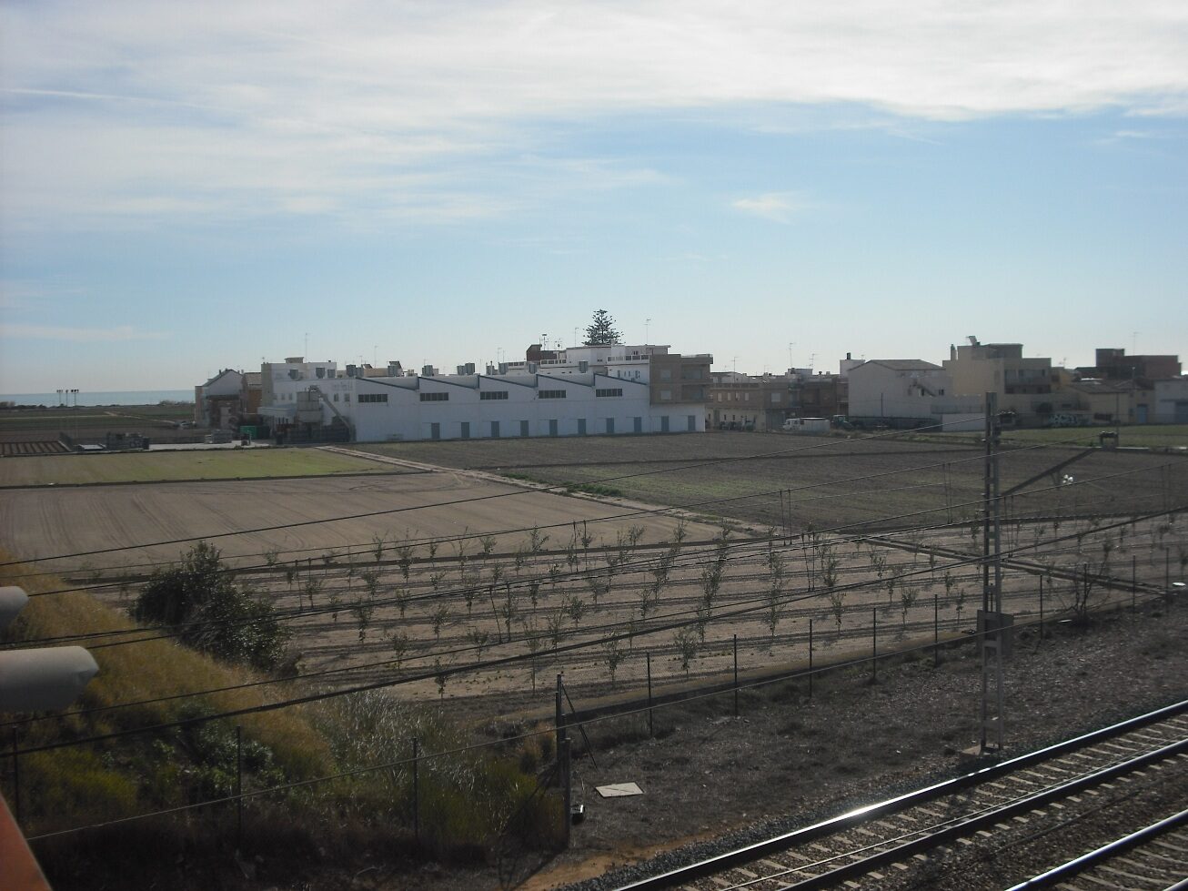 Teens with Machete, Bat Foiled in Valencia School Massacre Plot
