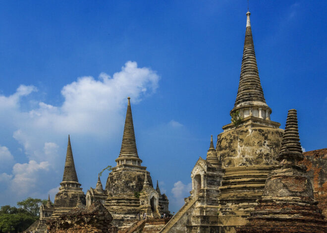 Aging flame tree topples at Ayutthaya temple, injuring five Spanish visitors