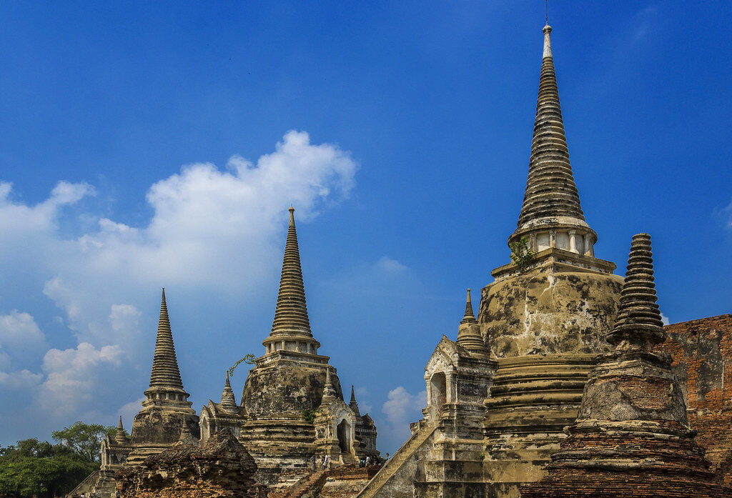Aging flame tree topples at Ayutthaya temple, injuring five Spanish visitors