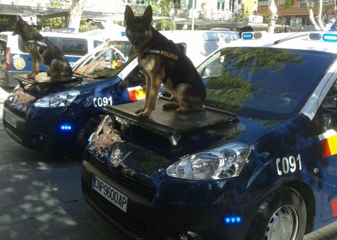 Spanish National Police Deport Seven Repeat Offenders With Over 100 Criminal Records In Girona