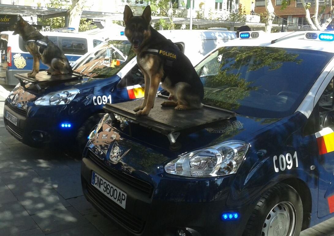 Spanish National Police Deport Seven Repeat Offenders With Over 100 Criminal Records In Girona