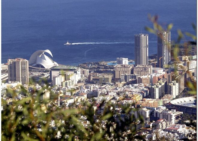 Two Survive After Light Aircraft Makes Emergency Landing On Tenerife Street