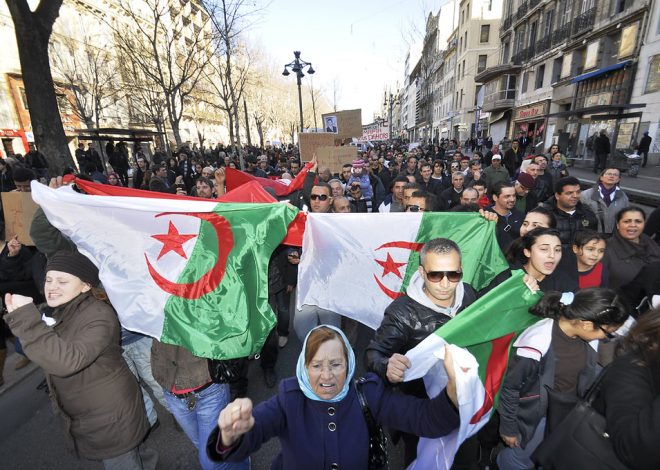 Algerian criminal gangs are offering an ‘all-inclusive’ package to legalize your status in Spain for 10,000 euros