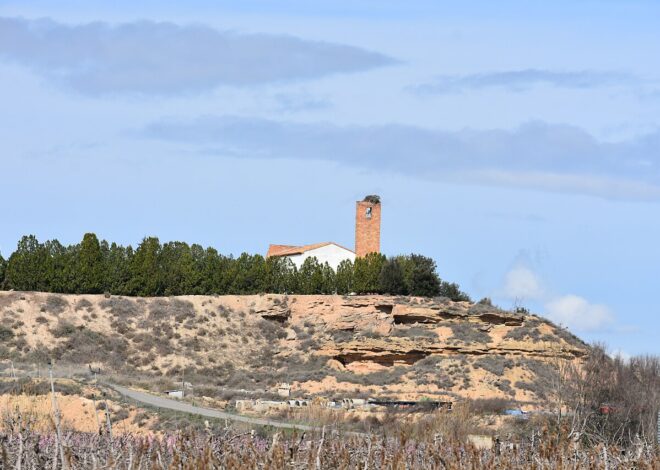 North African Man, 18, Arrested Over Fatal Robbery of Elderly Woman in Lleida