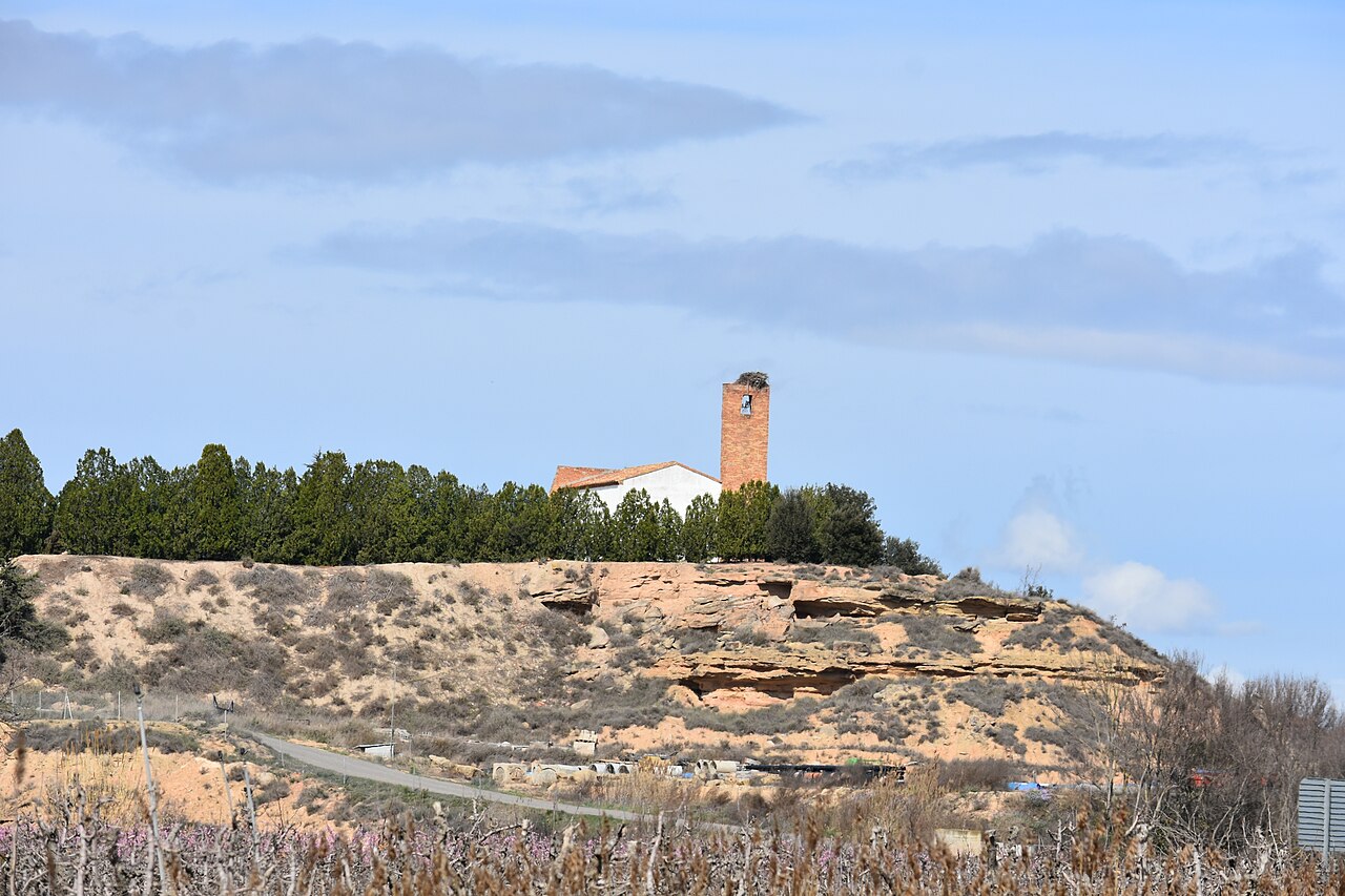 North African Man, 18, Arrested Over Fatal Robbery of Elderly Woman in Lleida