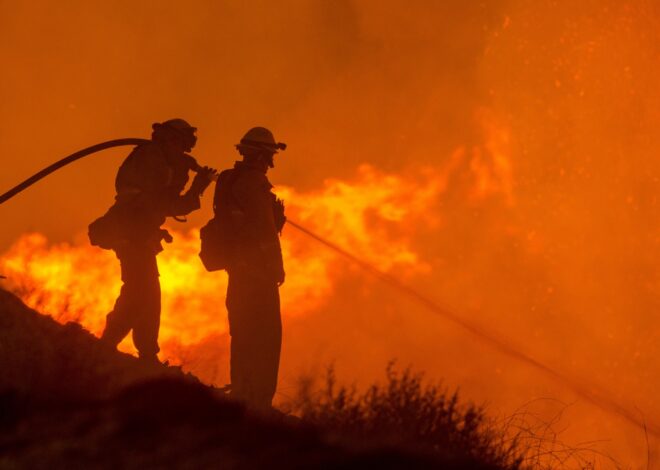 Tragedy In Almería: At Least 11 Dead And 19 Missing In Devastating Wildfire