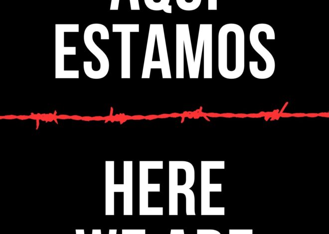 Soros-linked NGO Groups Accused Of Instructing Ceuta Migrants In Making Homemade Explosives